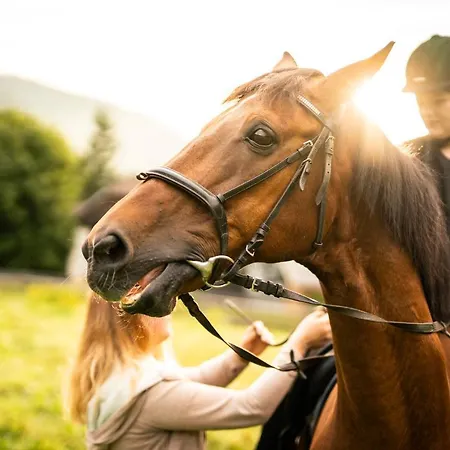 Trattlers Hof-chalets 木屋 *
