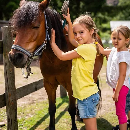 Trattlers Hof-chalets