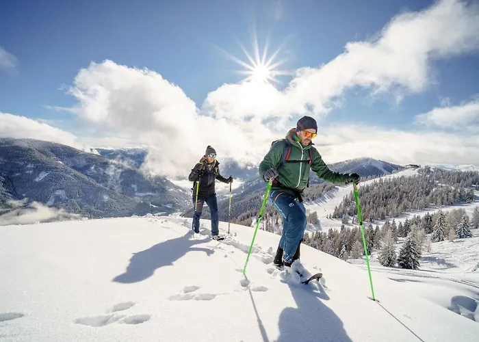 シャレー Trattlers Hof-chalets バド クラインキルヒハイム