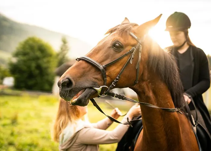 Trattlers Hof-chalets シャレー *