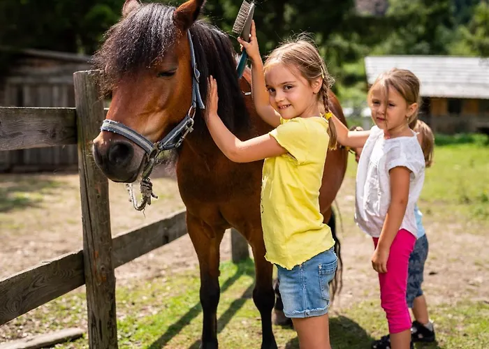 Trattlers Hof-chalets